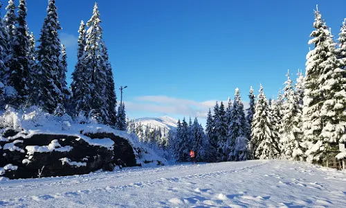 Voss ski- og tursenter