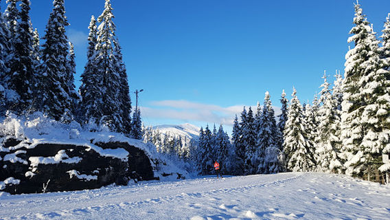 Voss ski- og tursenter