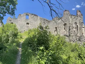 Ružica grad