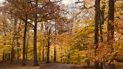Plamann Park