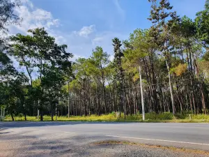 Pa Son Nong Khu Forest Park