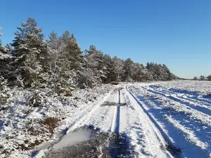 Colbitz-Letzlinger Heide