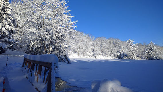 Ontario Pioneer Camp