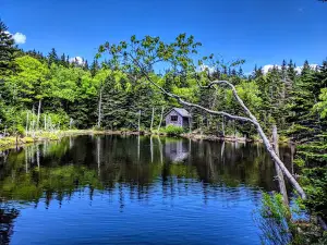 Mount Greylock State Reservation