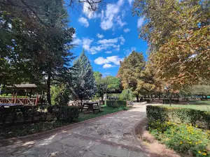 Mehmet Gemici Garden of Eden