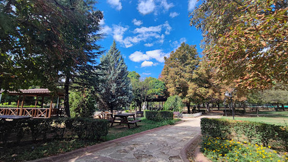 Mehmet Gemici Garden of Eden