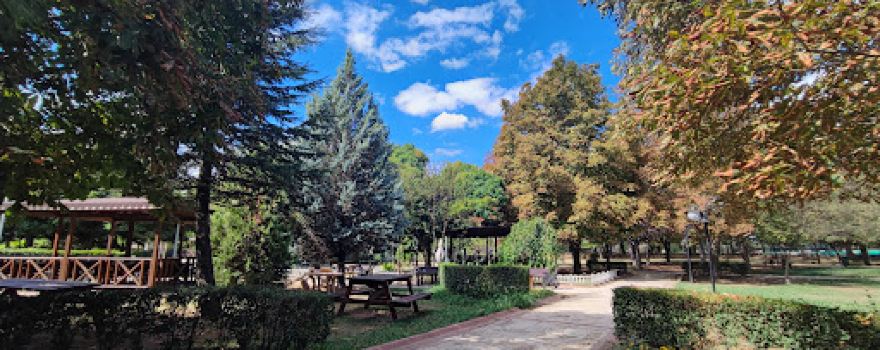 Mehmet Gemici Garden of Eden