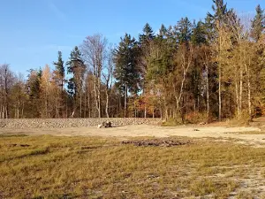 Pařezitý large pond