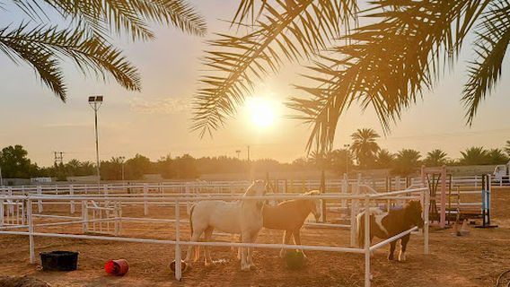Dhabian Equestrian Club
