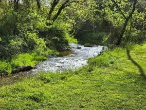 Merry Meadows Recreation Farm