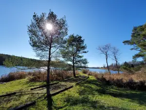 Harwood Lake Multiple Use Area