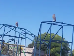 Plaza de los Niños