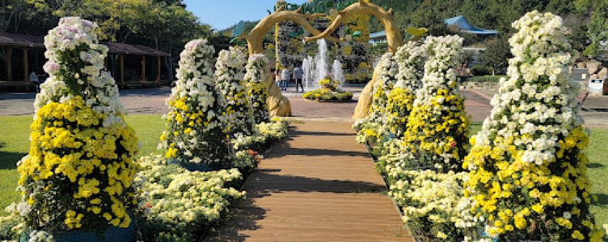 Hampyeong Eco Park