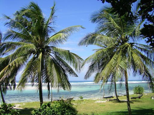 Tiwi Beaches