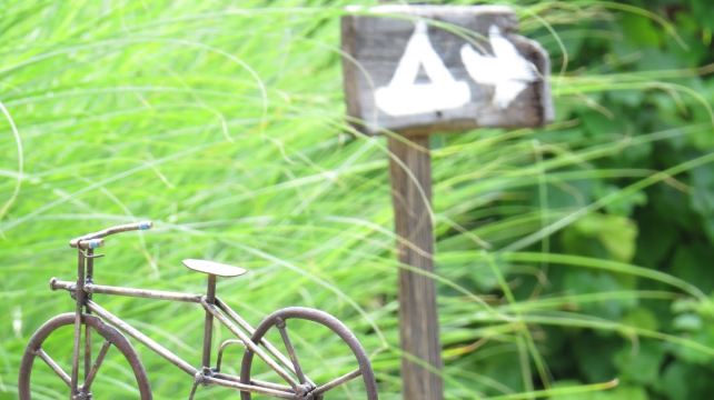 Bike Camp Long Tour