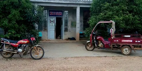 樟木桃園