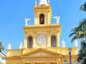 Metropolitan Cathedral of Campinas