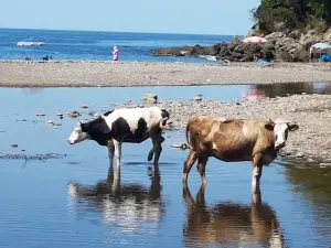 Köseağzı Beach