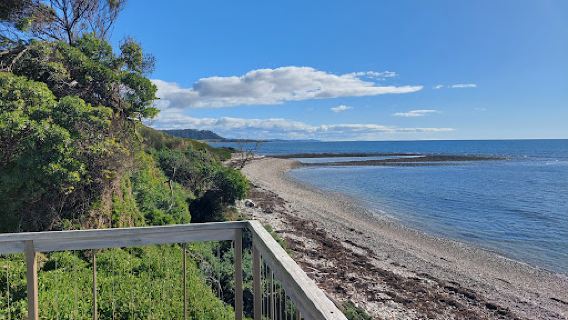Penguin Viewing Platform