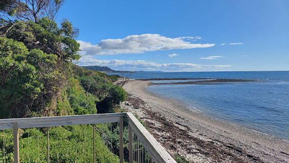 Penguin Viewing Platform