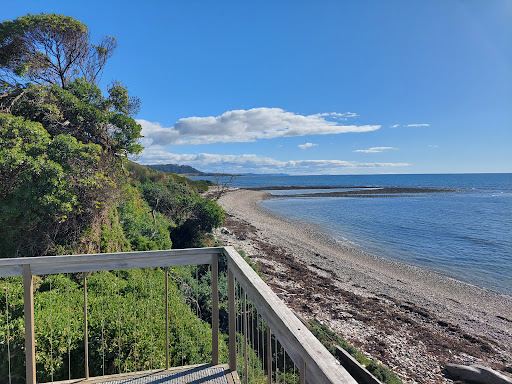Penguin Viewing Platform
