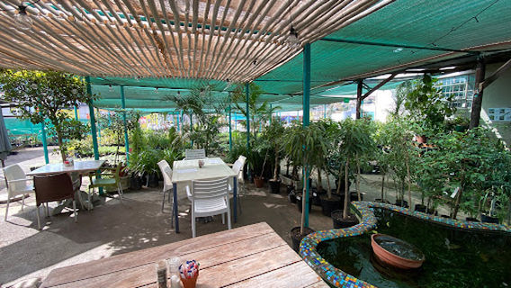 Carters Garden Centre