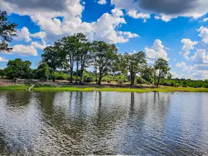 Chobe River
