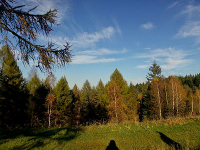 Malnik