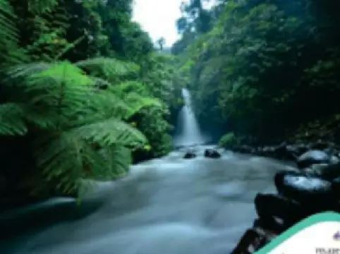 Panorama Air Terjun Telunjuk Raung