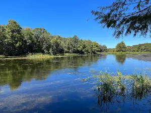 Aucilla Wildlife Management Area