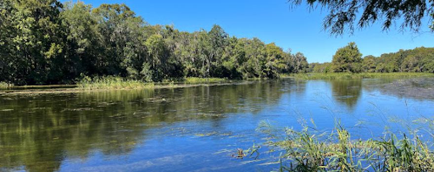 Aucilla Wildlife Management Area