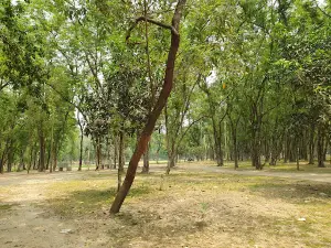 Nil Doriya Dream Park - নীল দরিয়া