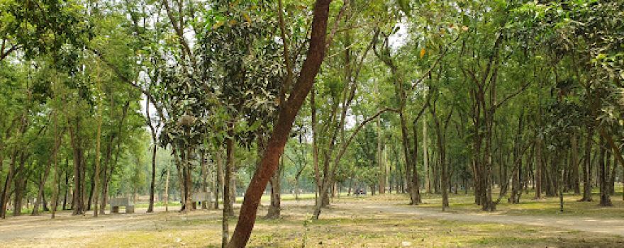 Nil Doriya Dream Park - নীল দরিয়া