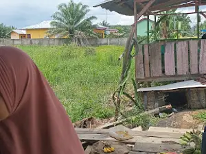 Kepenghuluan Bangko Mas Raya