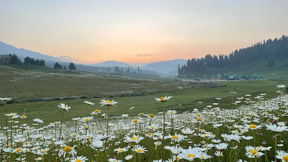 Third pole Adventures Gulmarg