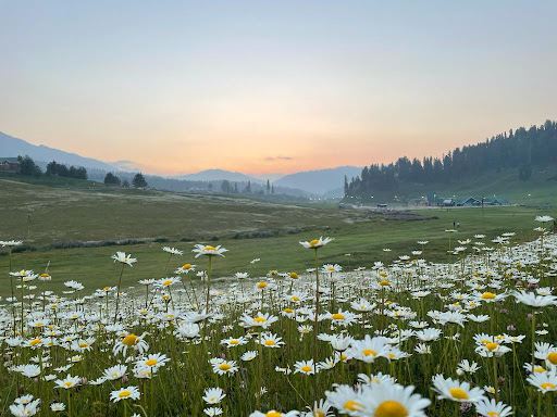 Third pole Adventures Gulmarg