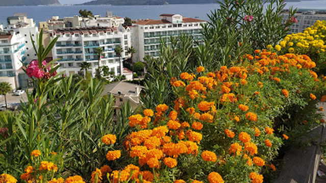 Marmaris Amphitheatre