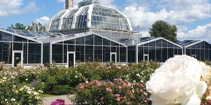 VDU Botanical garden
