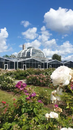 VDU Botanical garden