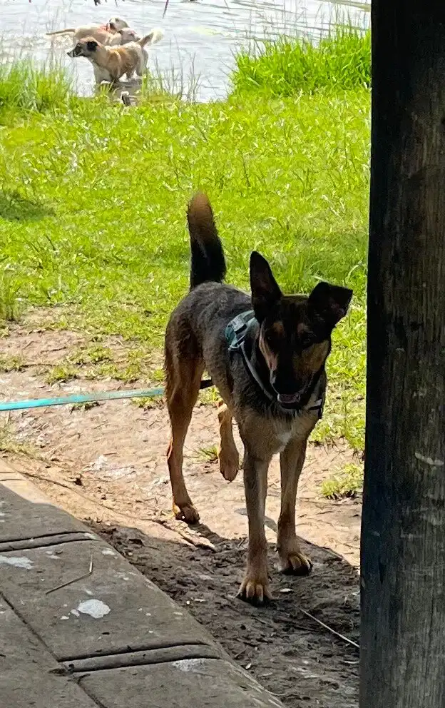 Hotels near Walkhaven Dog Park