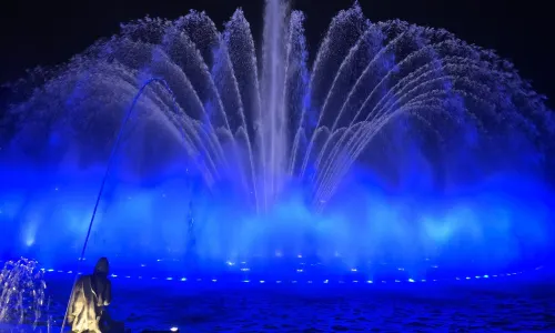 Magic Water Circuit of the Reserve Park