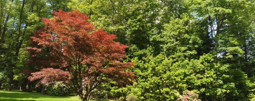 Englischer Garten Eulbach