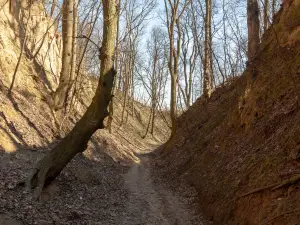 Queen Jadwiga's Ravine