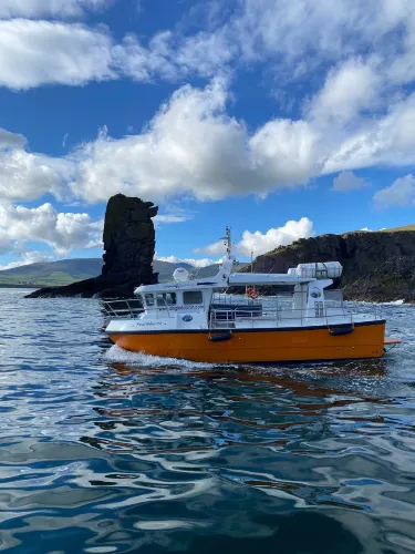 Dingle Dolphin Boat Tours