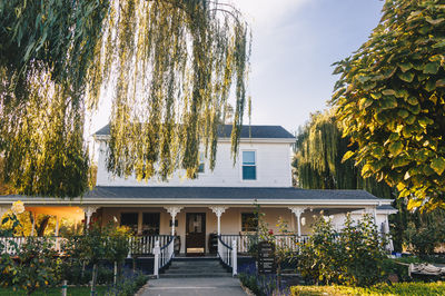Cline Family Cellars