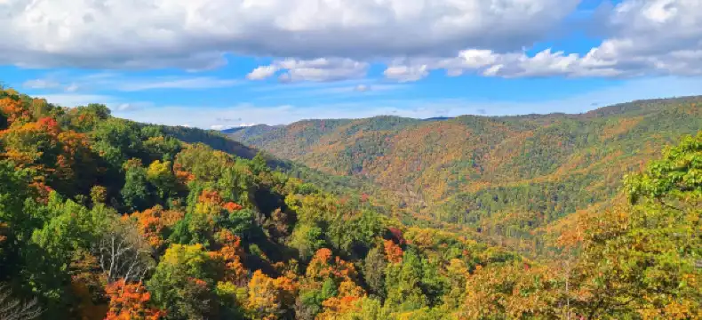 Hotels in Nelson County