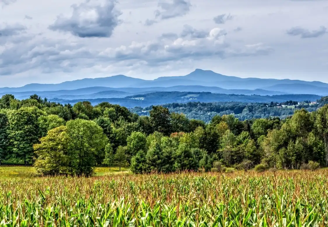 Hotels near Camel's Hump