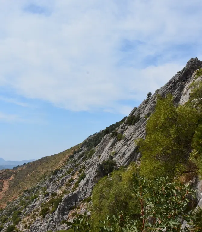 Benaojan