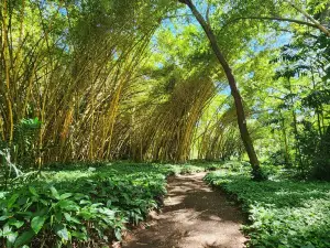 McBryde & Allerton Garden, National Tropical Botanical Garden