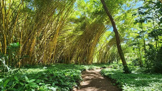 McBryde & Allerton Garden, National Tropical Botanical Garden